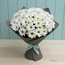 Букет цветов из:  Хризантемы #REPLACE_PRED# Губино