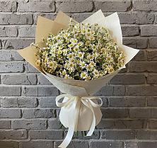 Букет цветов из:  Ромашки в Губино