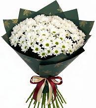 Букет цветов из:  Хризантемы #REPLACE_PRED# Губино