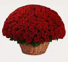 Премиум букет из: Розы #REPLACE_PRED# Губино